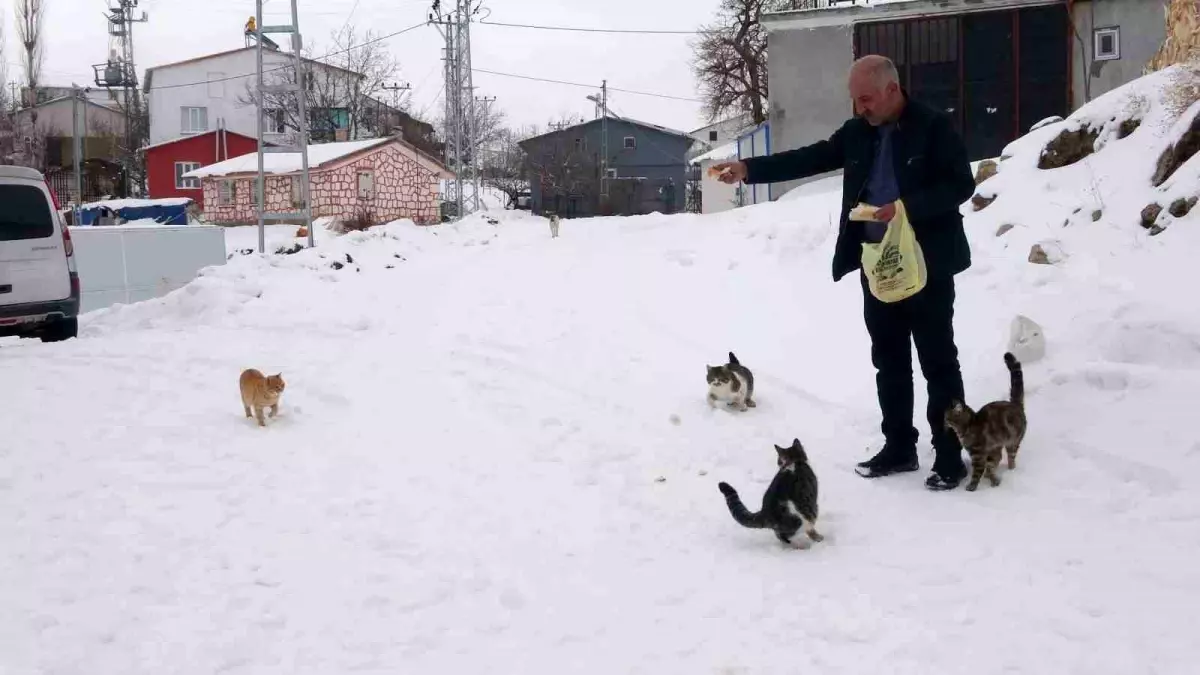 Bu köyde kışın sadece muhtar yaşıyor! Tek nedeni var
