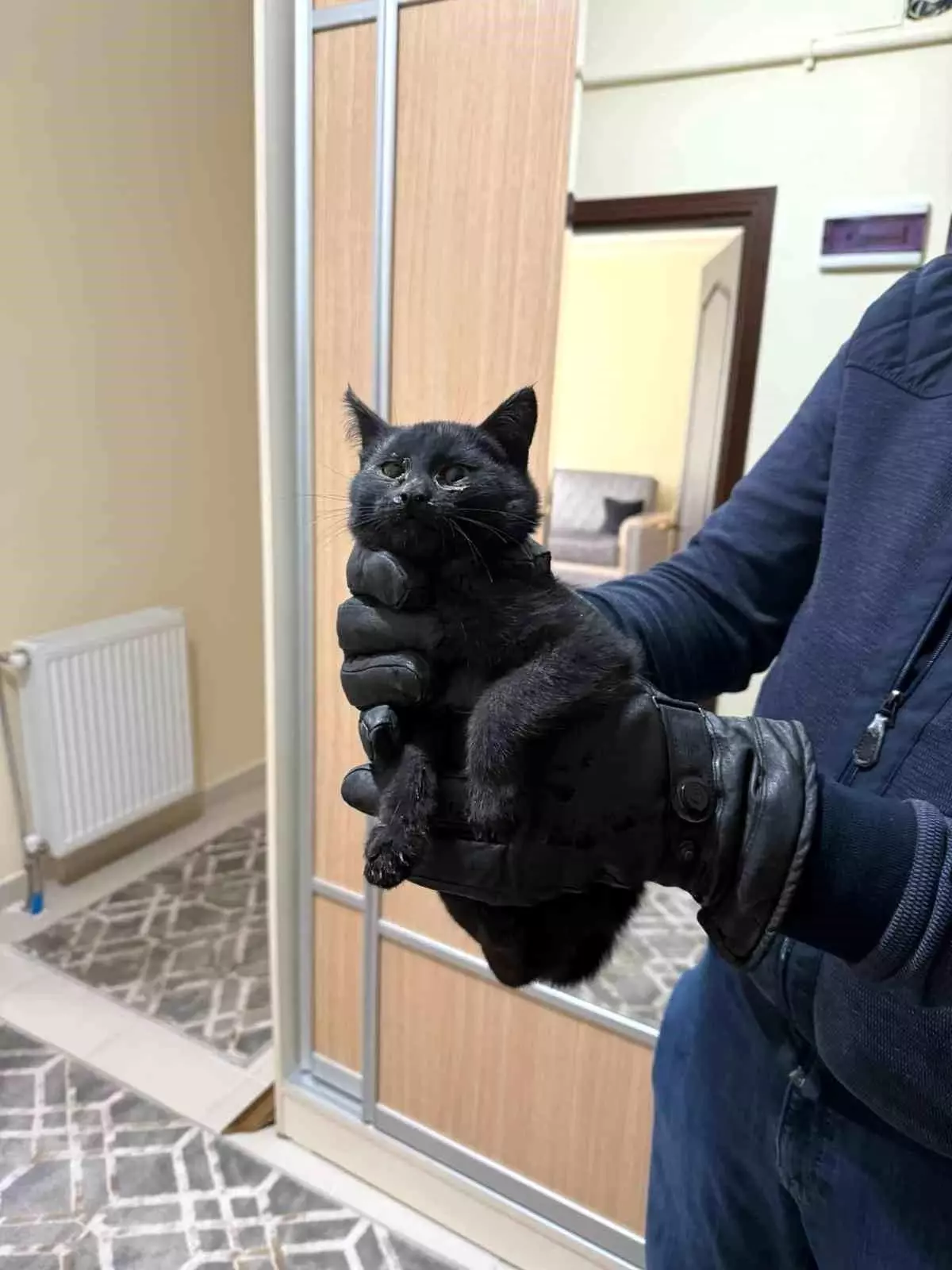 Bacaya giren kedi itfaiyenin 6 saatlik operasyonuyla kurtarıldı