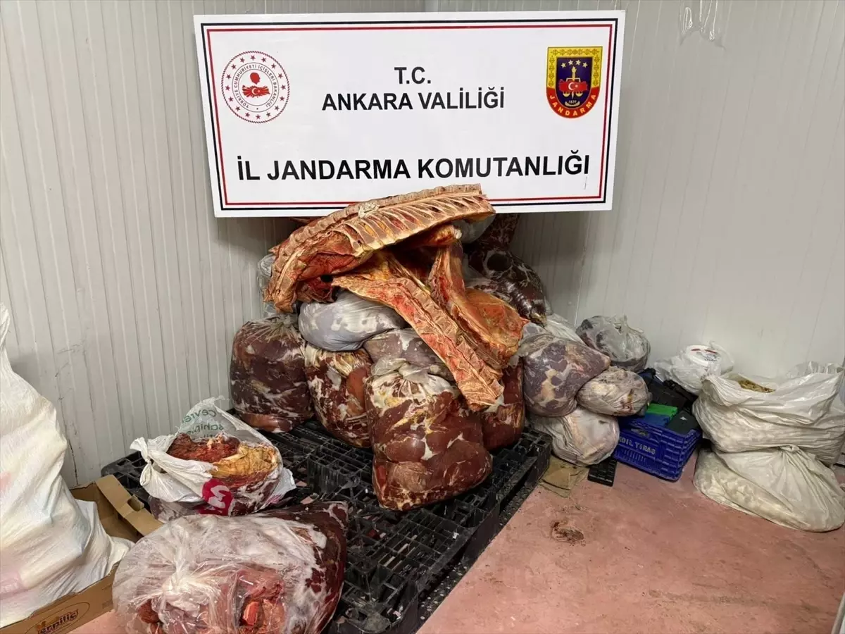 Başkentte 11 bin 400 kilogram sahte et ve gıda ele geçirildi