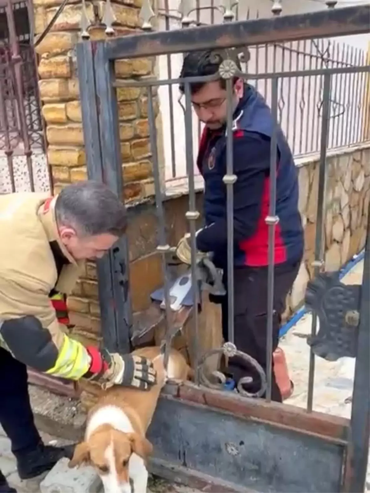 Demir korkuluklara sıkışan köpeği itfaiye kurtardı