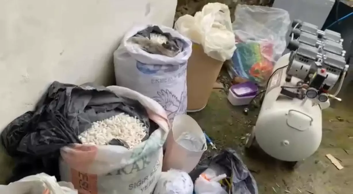 Edirne\'de uyuşturucu operasyonu: 117 kilo uyuşturucu madde ele geçirildi