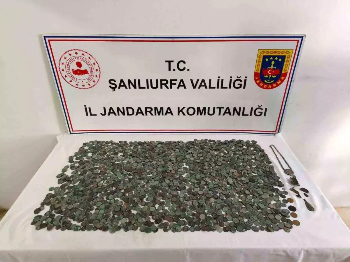 Ceylanpınar\'da Tarihi Eser Operasyonu