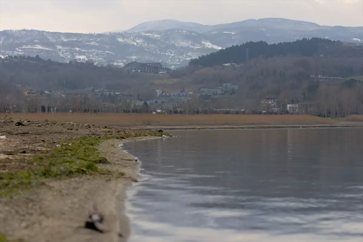 Sapanca Gölü\'nde Su Seviyesi 8 Santimetre Yükseldi
