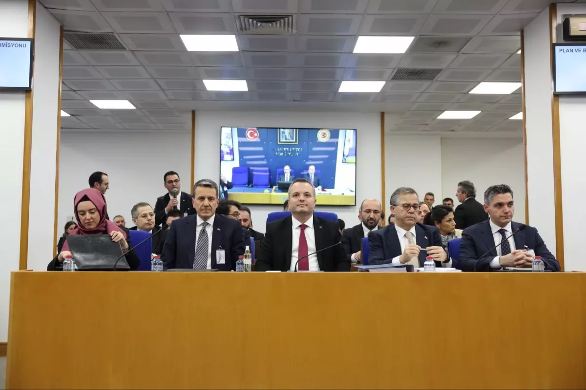 TVF 2024 Mali Tabloları İnceleniyor