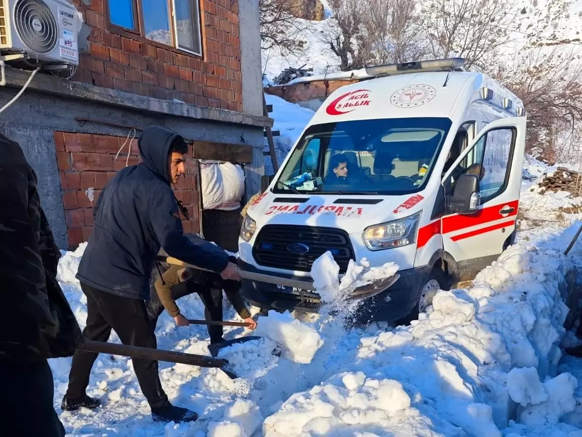 Karla Mücadelede Dayanışma