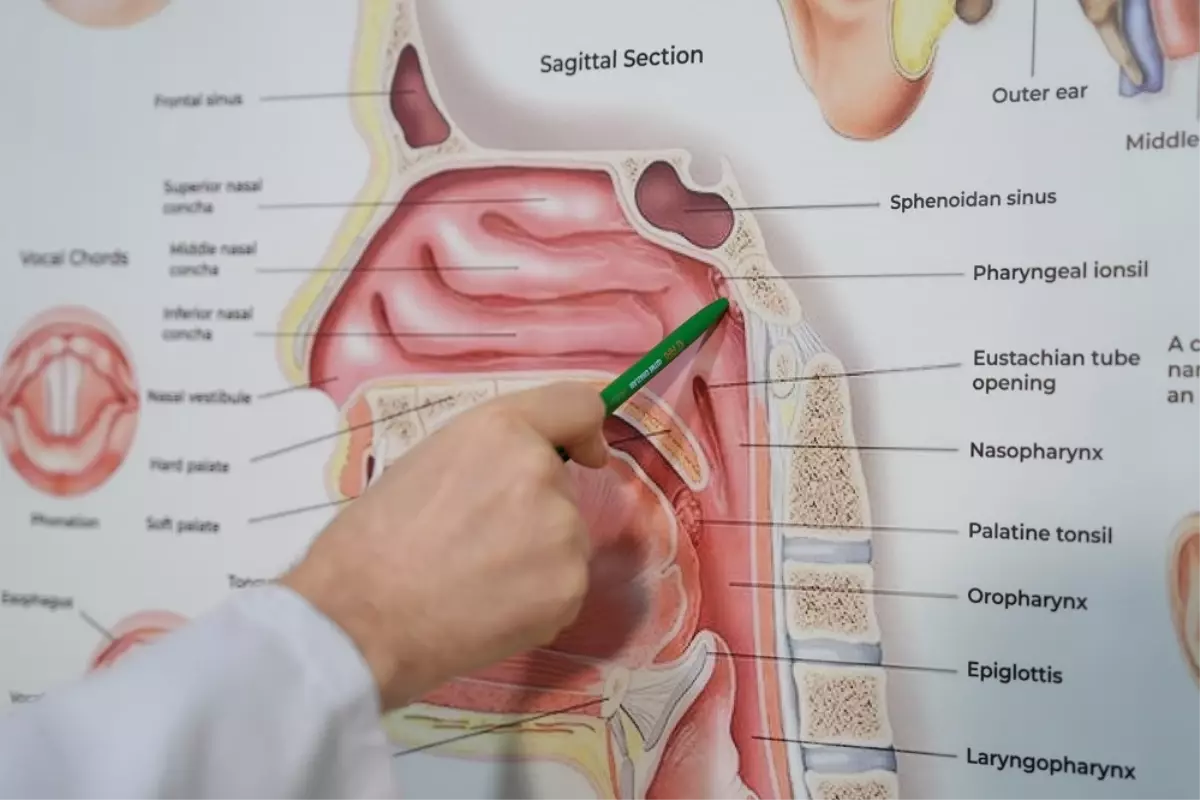 Çocuklarda Geniz Eti Problemi