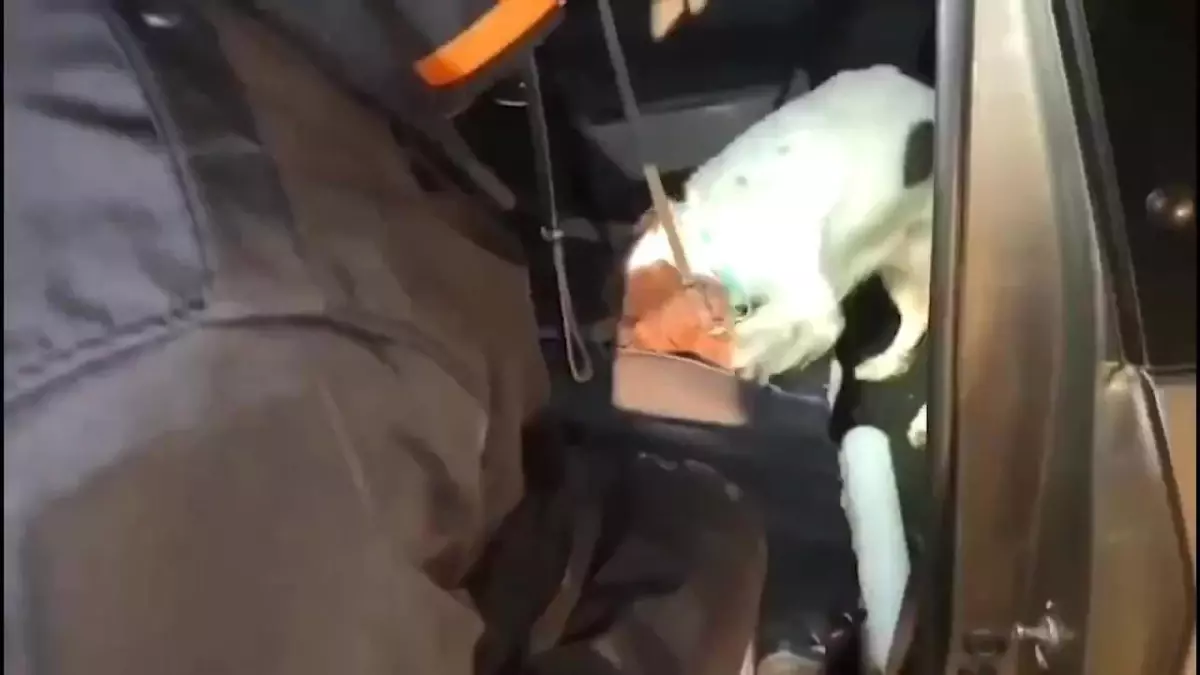 Denizli\'de Metamfetamin Operasyonu