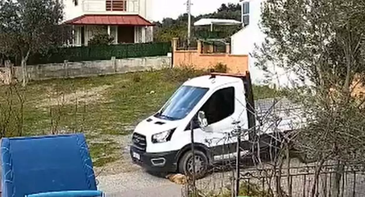 Kamyonet, köpek Meks\'in üzerinden geçti