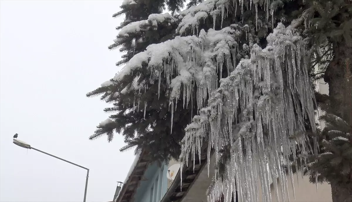 Kars ve Ardahan\'da Soğuk Hava Etkili