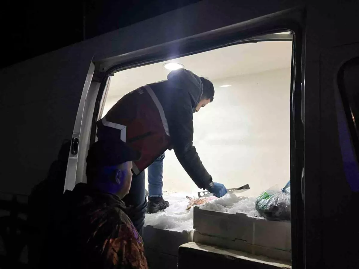 Kastamonu\'da Usulsüz Avcılığa Cezai İşlem