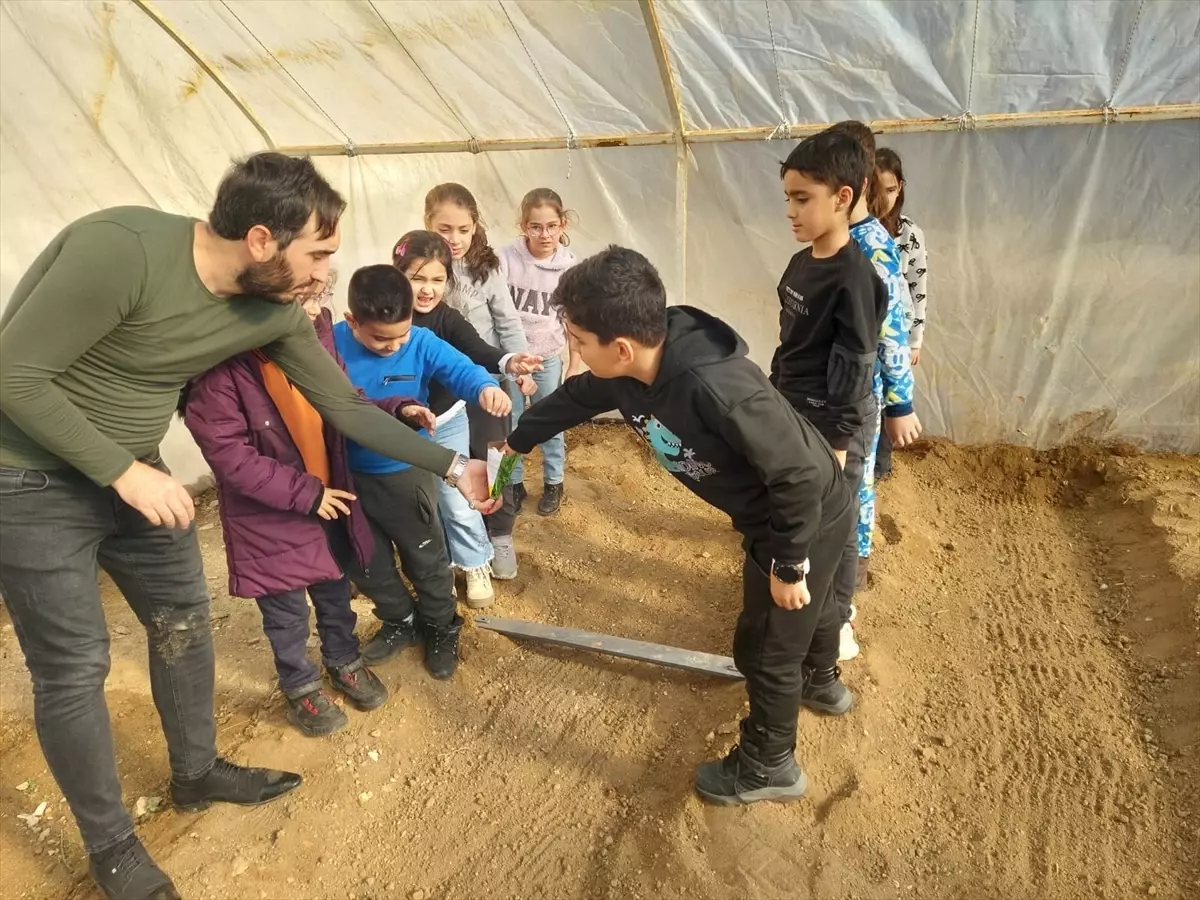 Öğrenciler Tohum Ekti