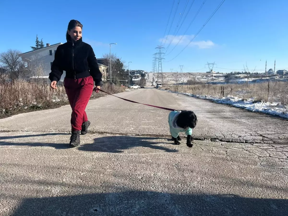 Yağmur Denli\'den Hera\'ya Yeni Yuva