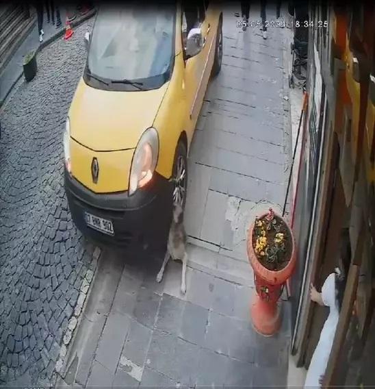 Mardinli Marilyn Monroe'ya hapis cezası