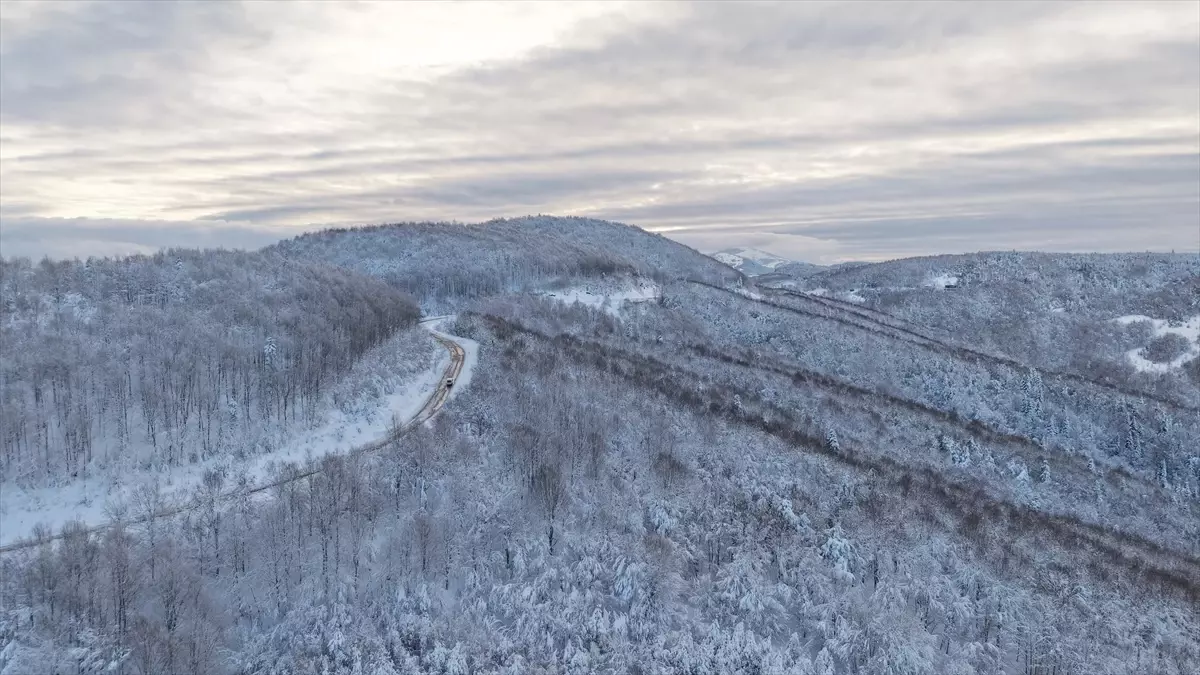 Alaçam\'da Kar Manzarası
