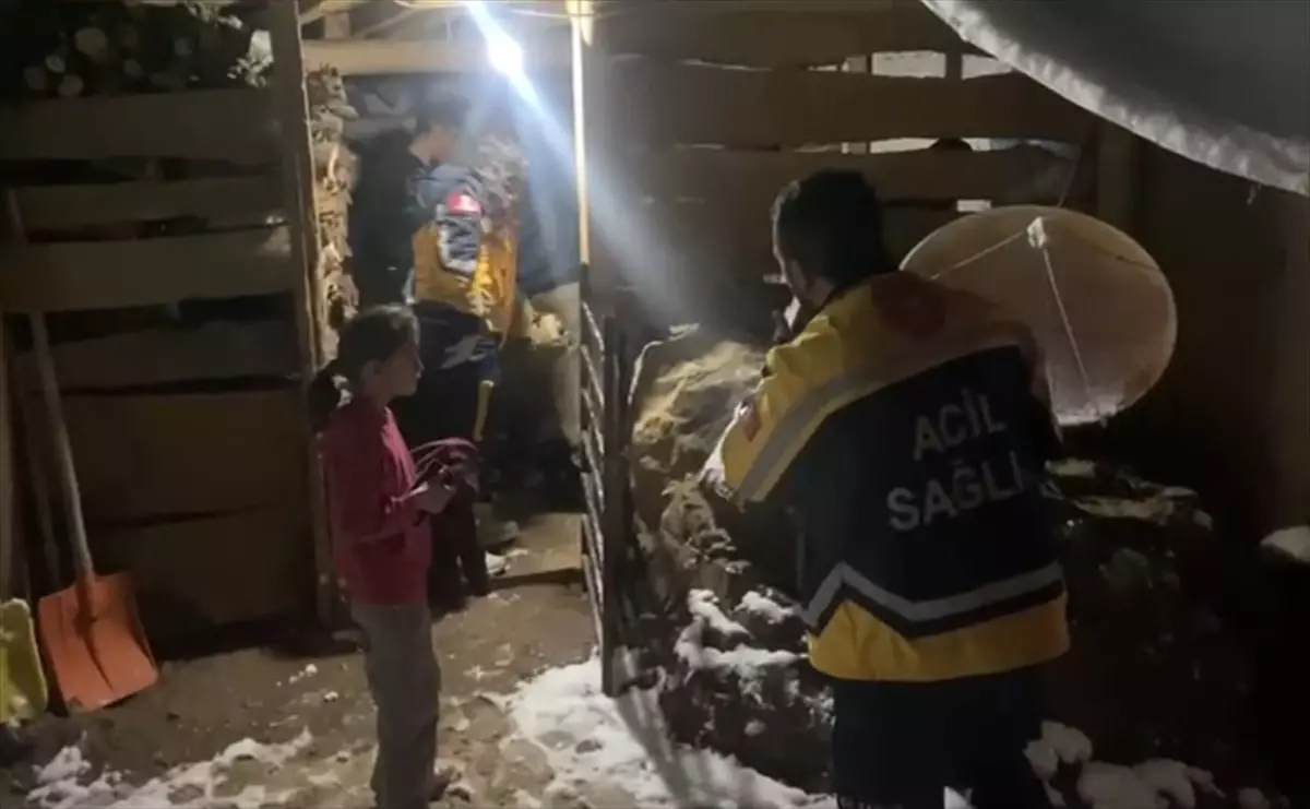 Karı Kapanan Köyde Hastaya Zamanla Ulaşıldı