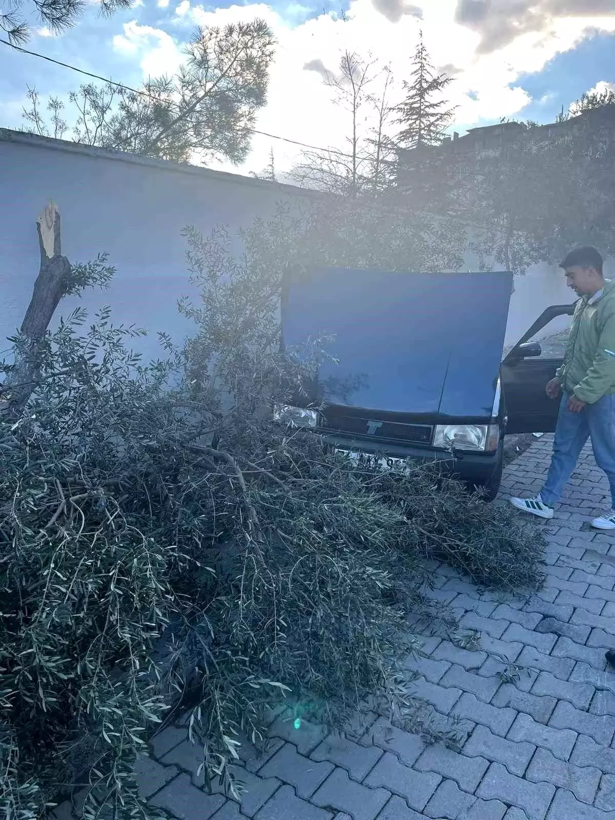 Denizli\'de Hızlı Araç Zeytin Ağacına Çarptı