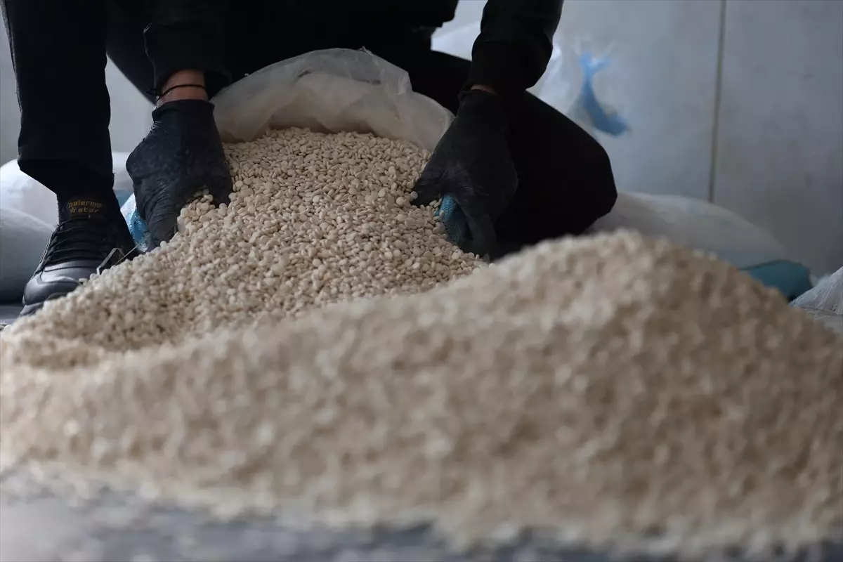 Suriye ve Irak\'tan Büyük Uyuşturucu Operasyonu