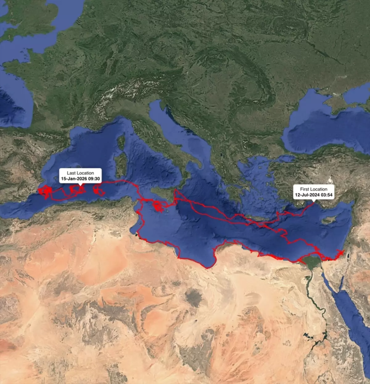 Gümüş\'ün Sıra Dışı Göç Rotası
