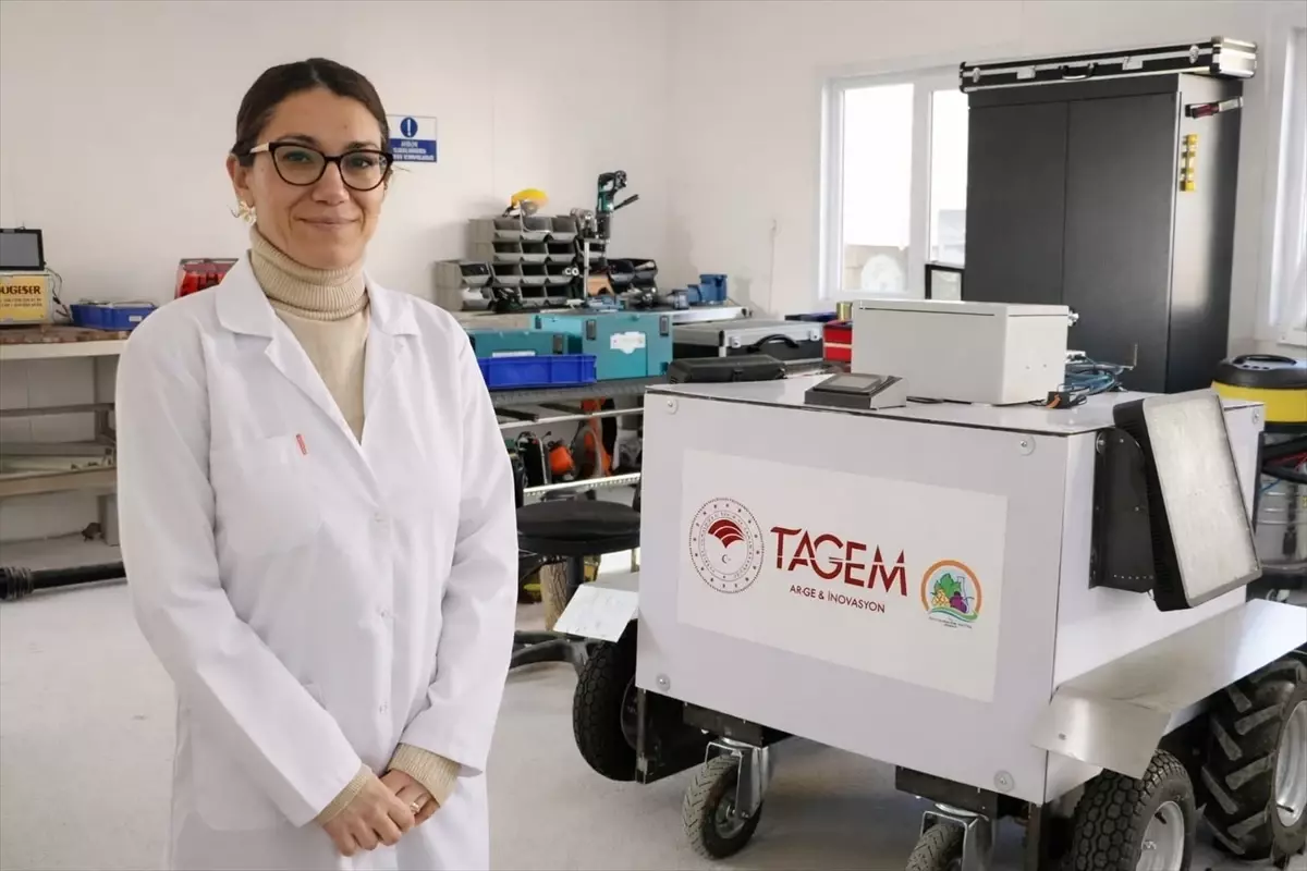 Tekirdağ\'da Otonom Robot Üzüm Bağlarını Geliştiriyor