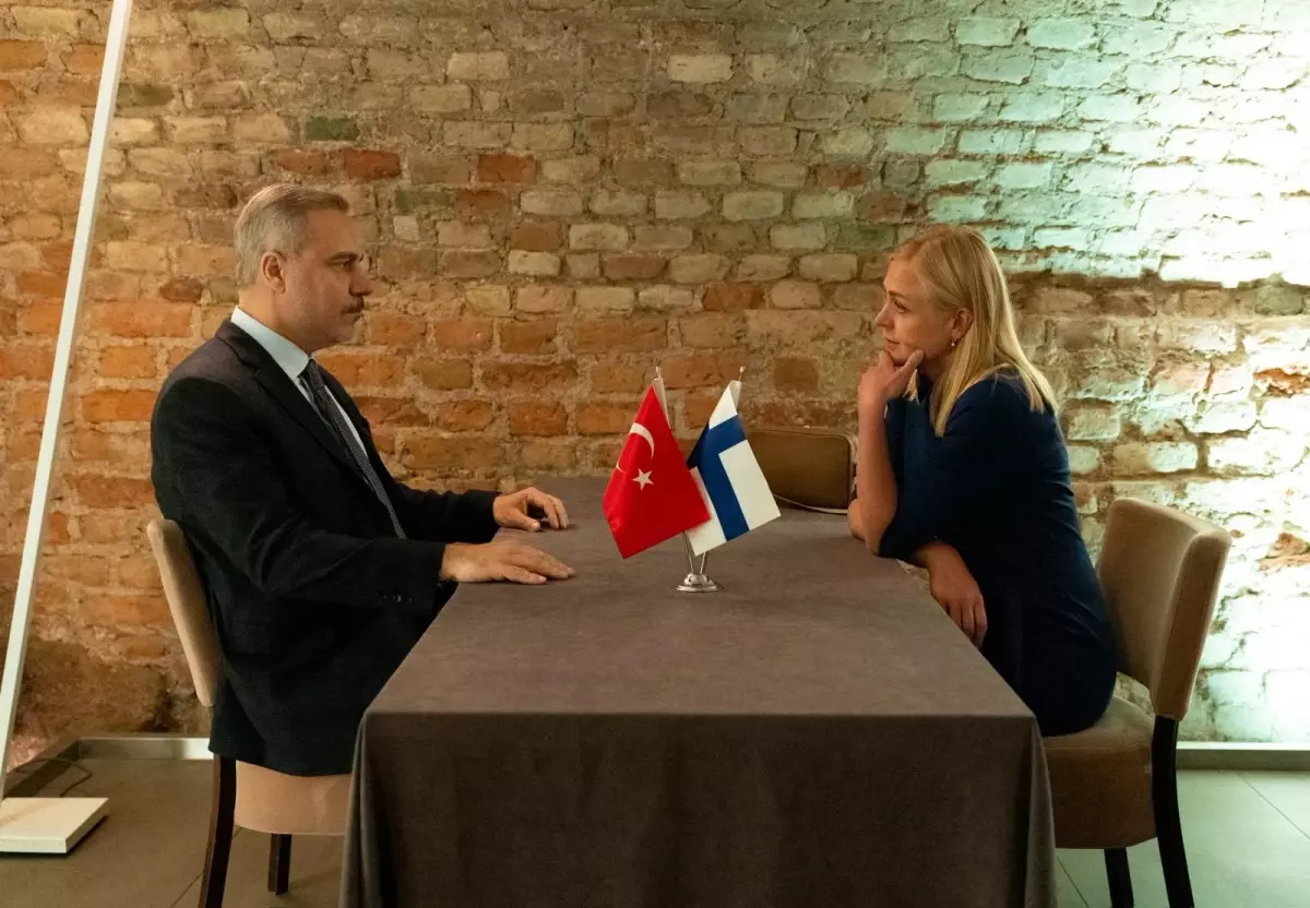 Fidan ve Valtonen\'den Görüşme