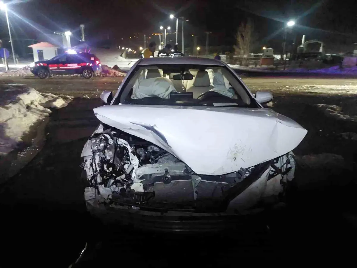 Bingöl\'de Domuz Sürüsüne Çarpan Araçta 3 Yaralı