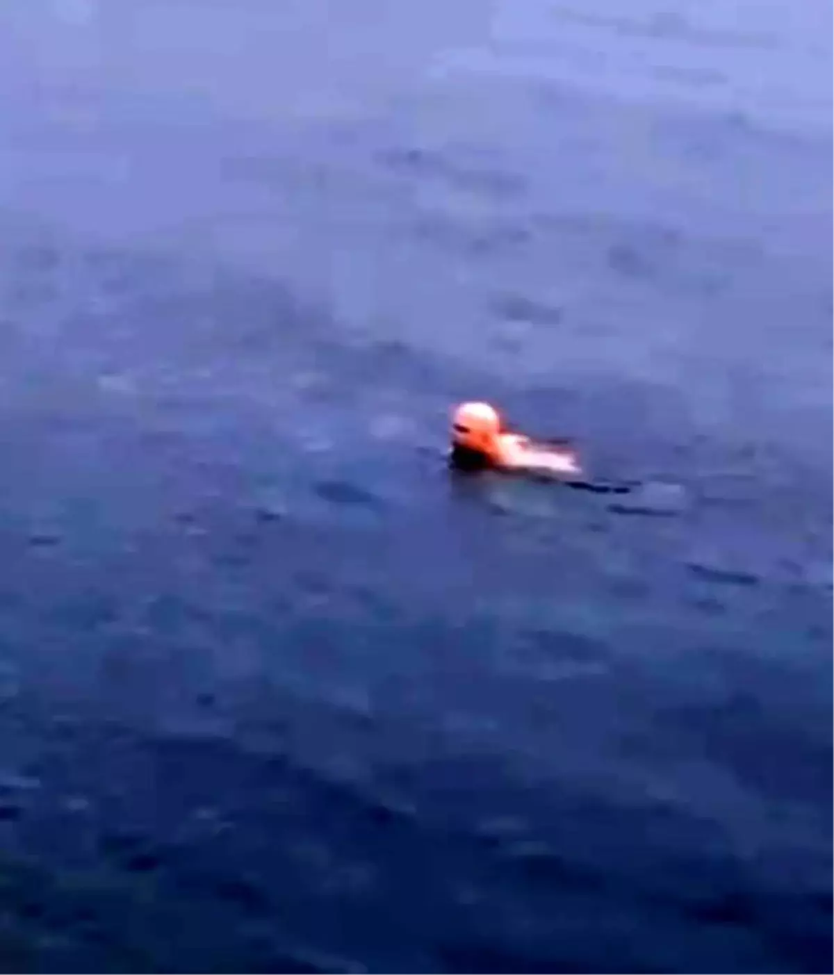 Mudanya\'da Soğuk Havada Denize Giren Vatandaş Şaşırttı