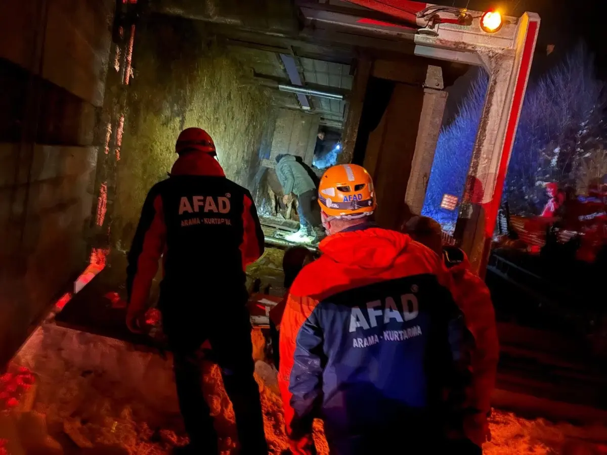 Refahiye\'de Hayvan Yüklü TIR Devrildi