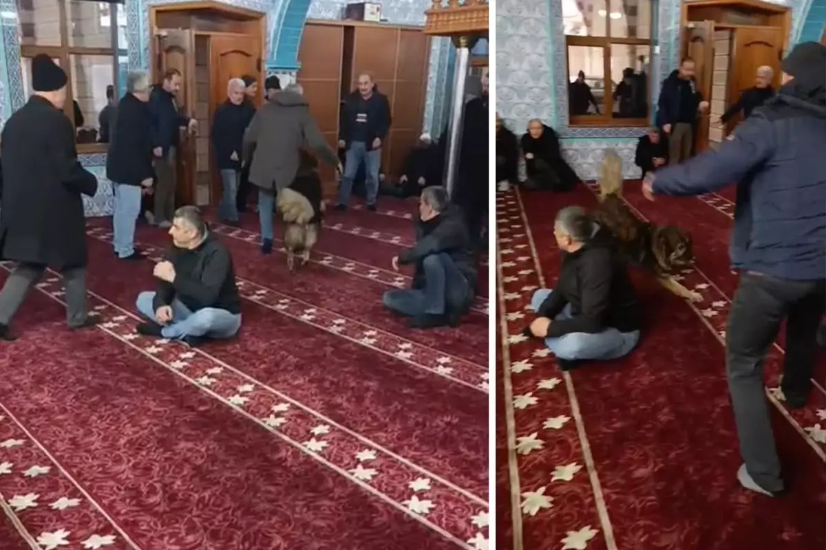 Bir anda camiye daldı! Cemaatin yarısı kaçtı, yarısı kahkahaya boğuldu