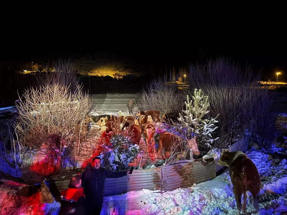 Refahiye\'de Devrilen Tırdaki Hayvanlar Kurtarıldı