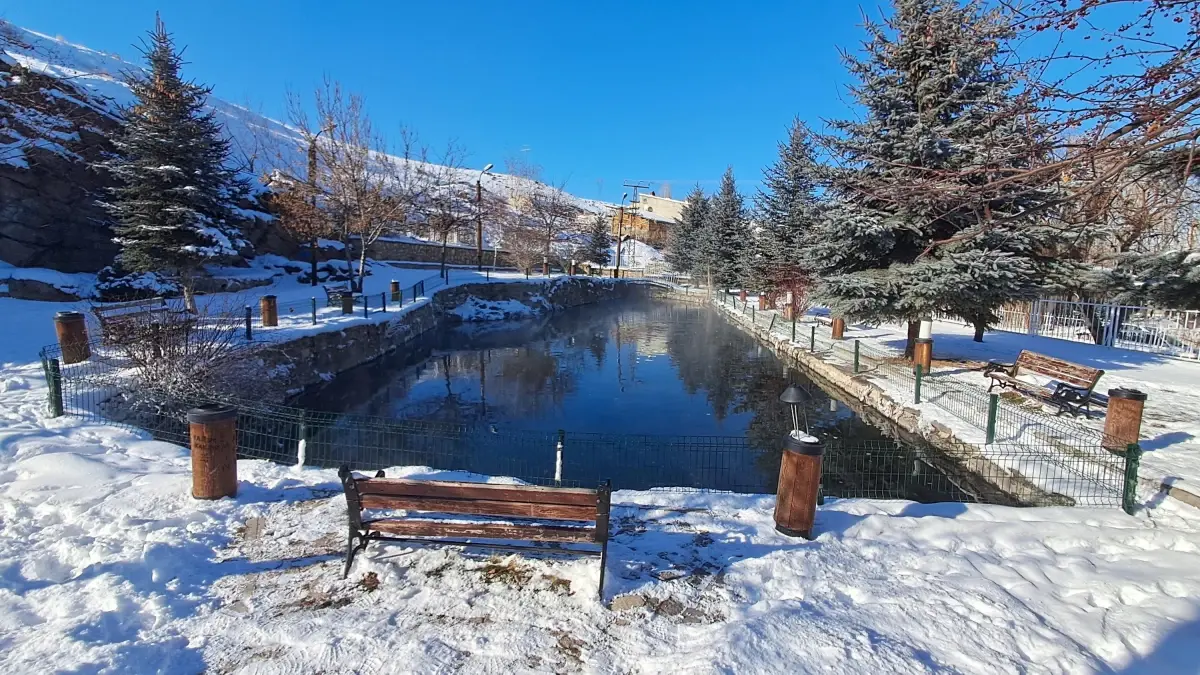 Erzurum\'da Balıklıgöl Donmadı