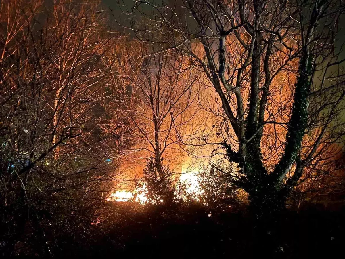 Filyos\'ta ağaçlık alanda çıkan yangın korkuttu