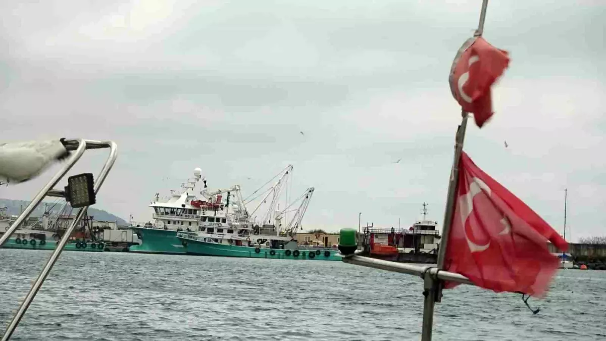 Hamsi Avında Bekleyiş