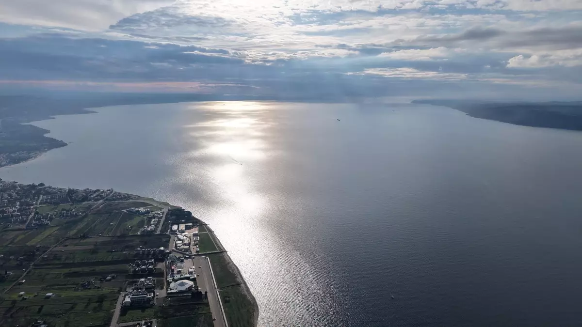 Pinna Nobilis\'in Korunması İçin Çalışmalar Başladı