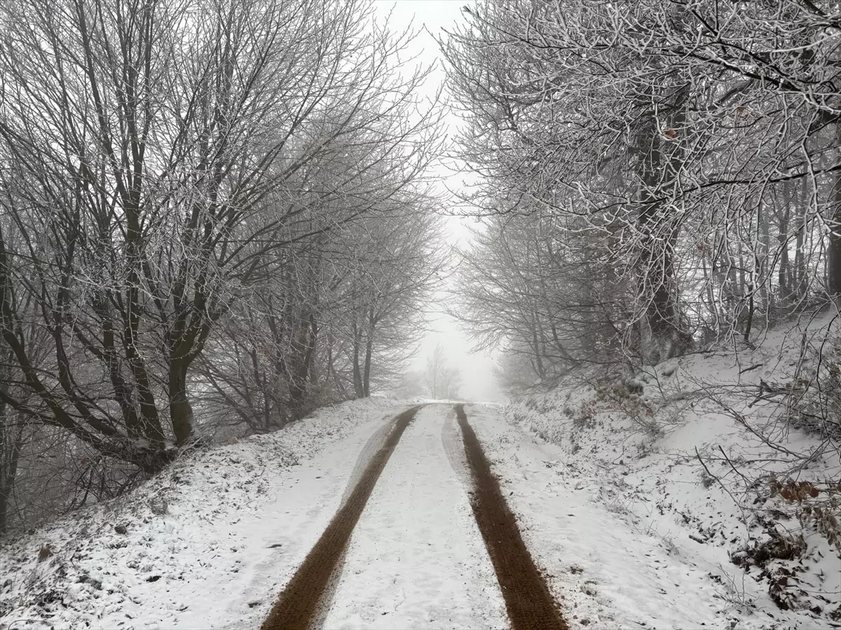 Lapseki\'de Kar Yağışı Etkili Oldu