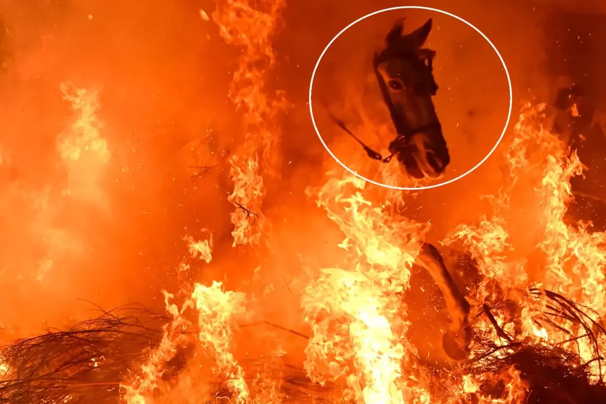 Film sahnesi değil gerçek: Atlar, alevlerin arasından böyle geçti