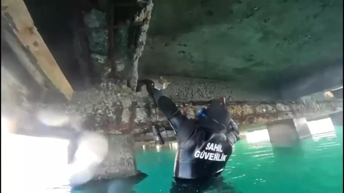 Balıkesir\'de Mahsur Kedi Kurtarıldı