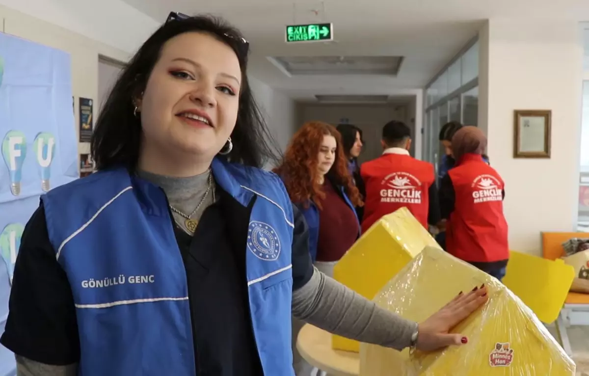 Oltu\'da Kedilere Kış Evi