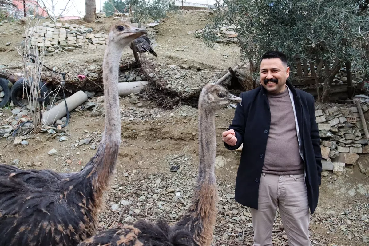 Ahmet Kılıç\'tan Deve Kuşu Çiftliği Hayali