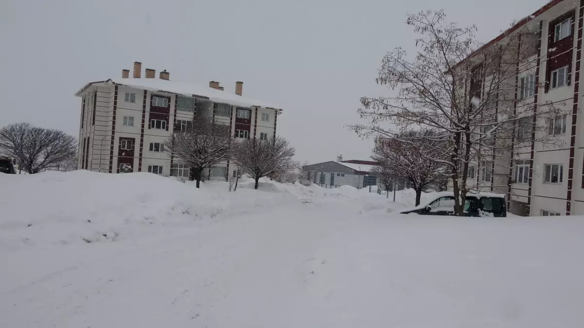 Bitlis\'te Kar Yağışı 128 Yolu Kapatmış