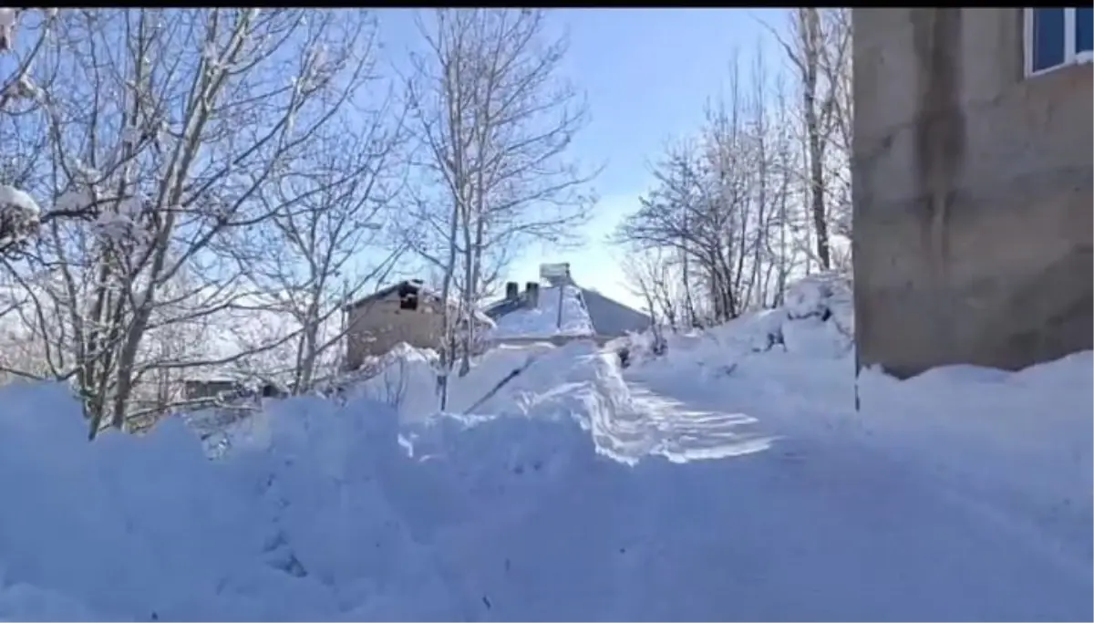 Hakkari\'de Köylüler Karla Mücadele Ediyor