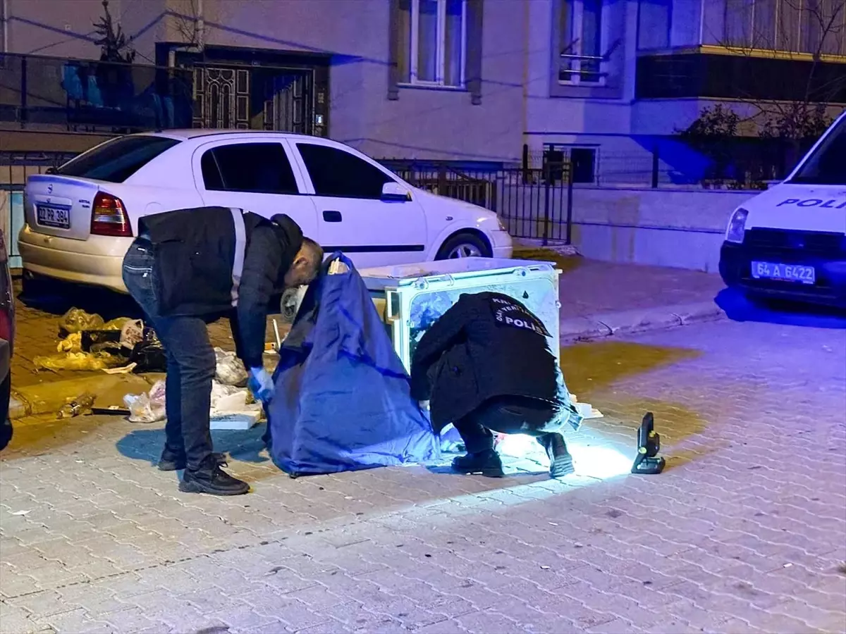 Çöpte yeni doğmuş bebek cesedi bulundu! Anne de baba da 17 yaşında