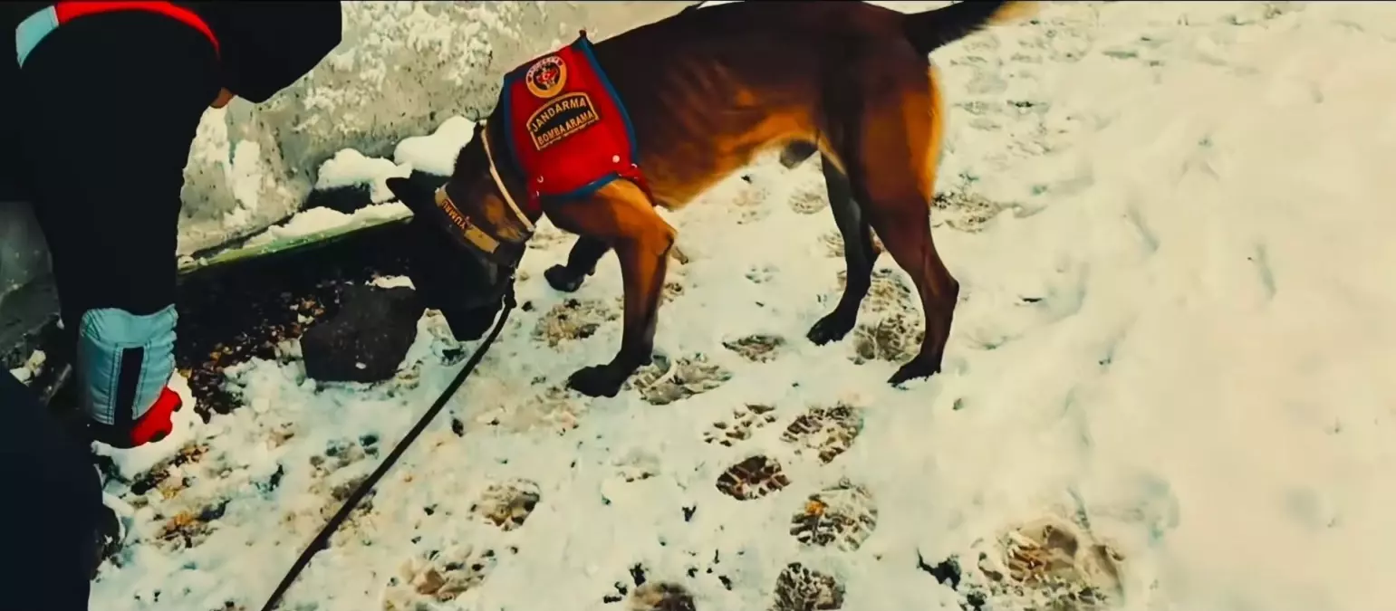 Veysi Çevik Cinayeti Aydınlatıldı