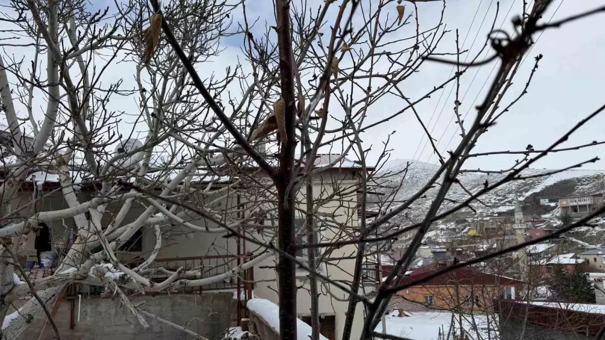 Çukurova Çiftçisine Yağmur Müjdesi