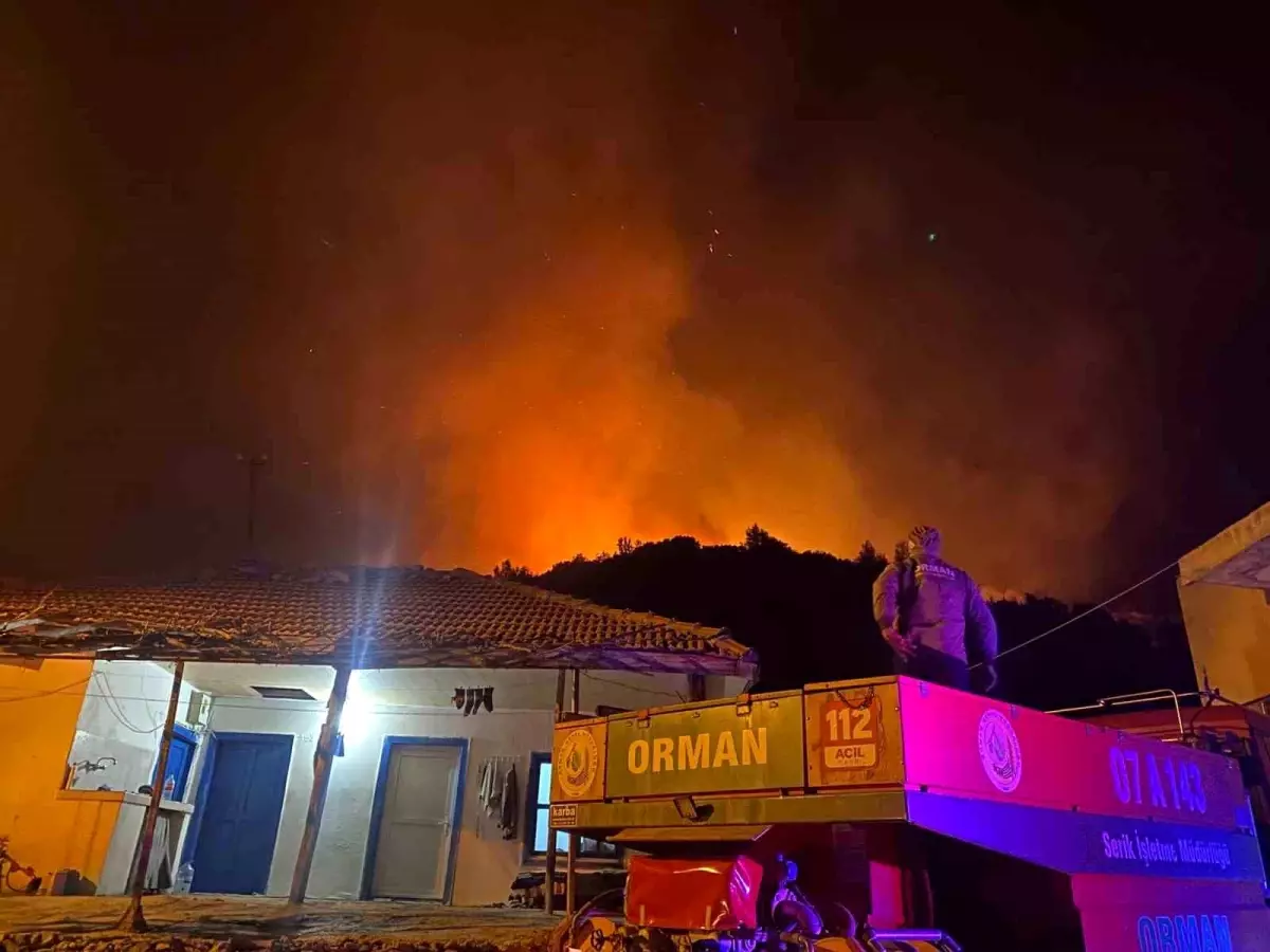 Antalya\'da orman yangını