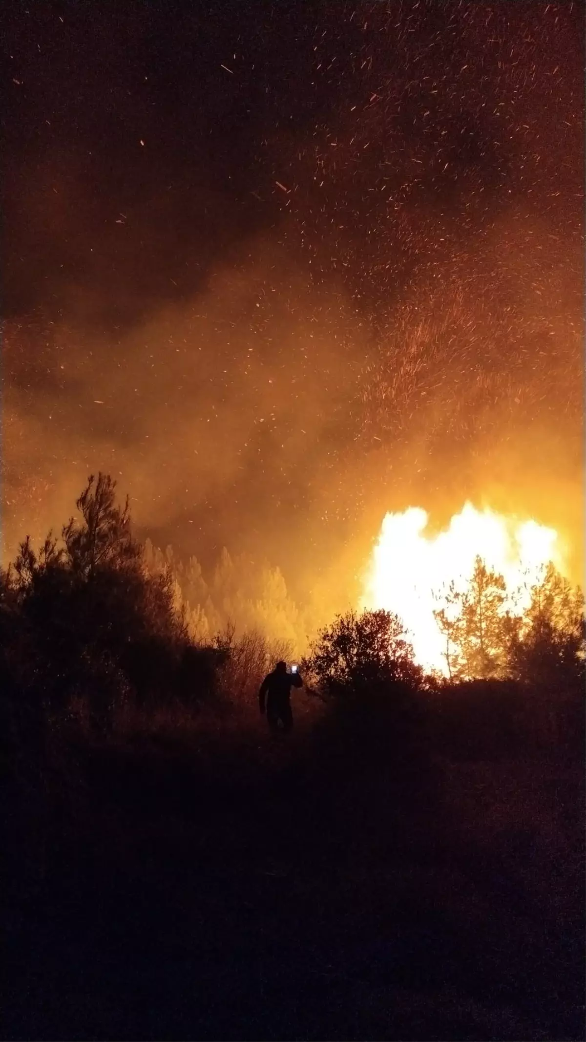 Serik\'te Orman Yangını