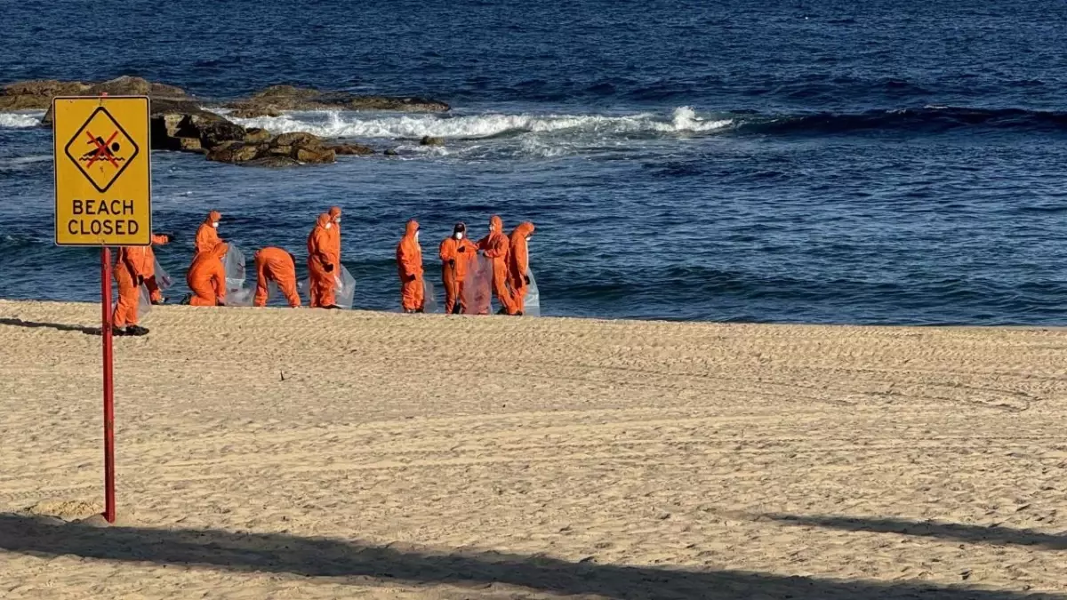 Avustralya\'nın Sydney kentinde köpek balıkları 2 çocuğa saldırdı