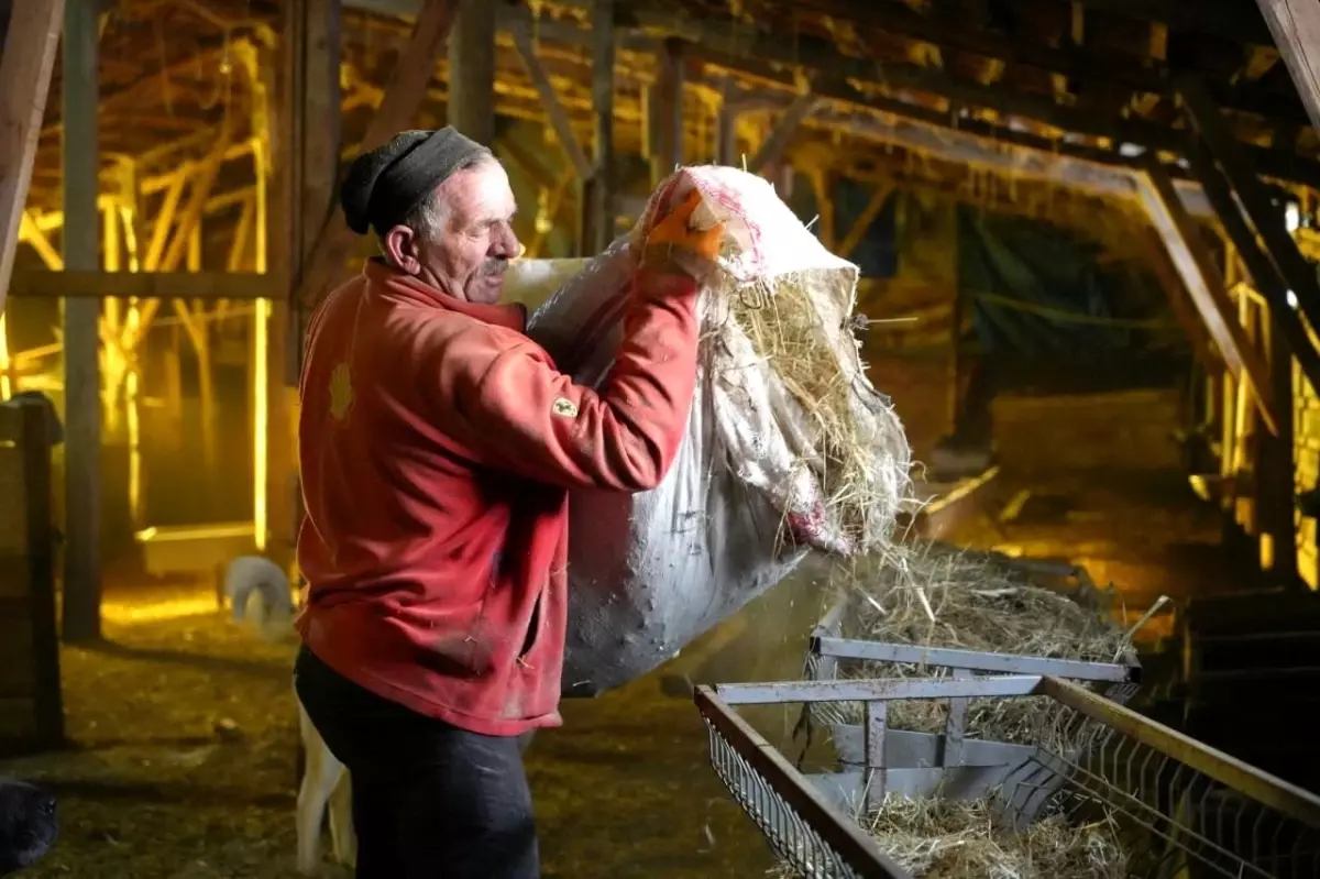 Soğuk Havada Hayvancılık Aşkı