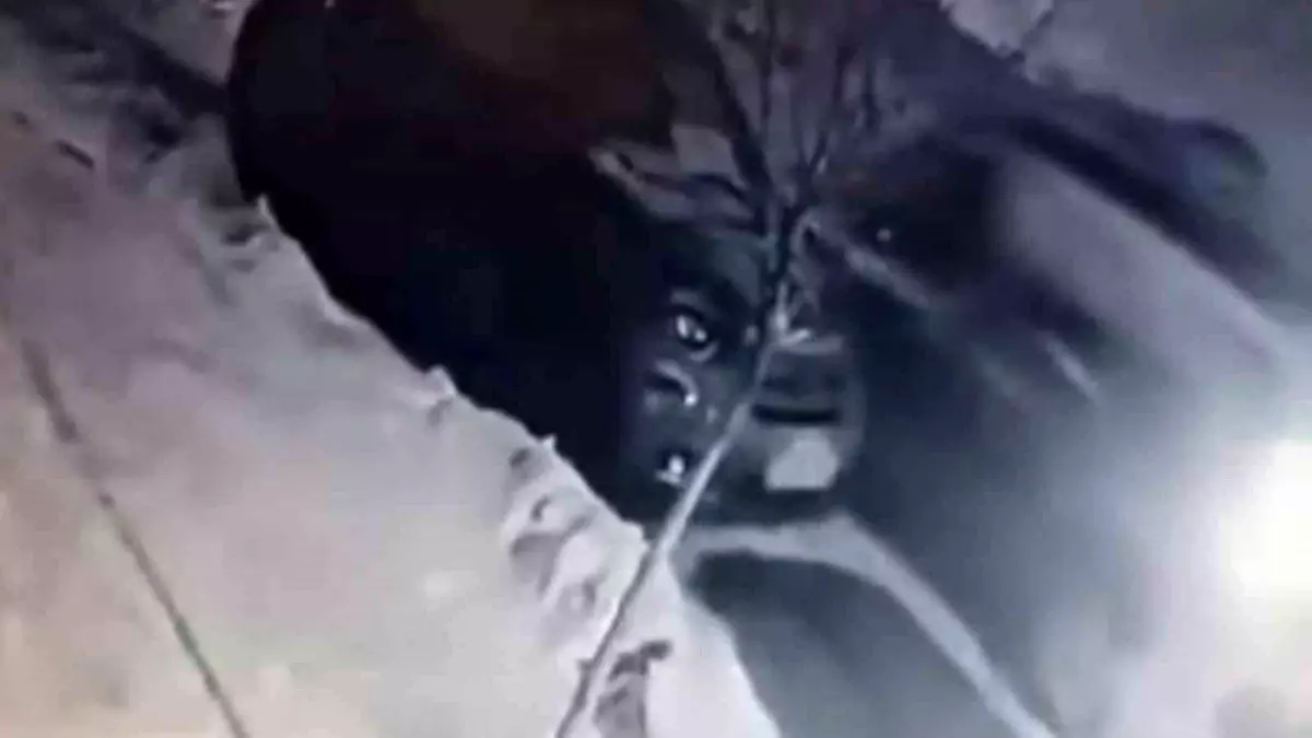 Elazığ\'da Buzda Kaza