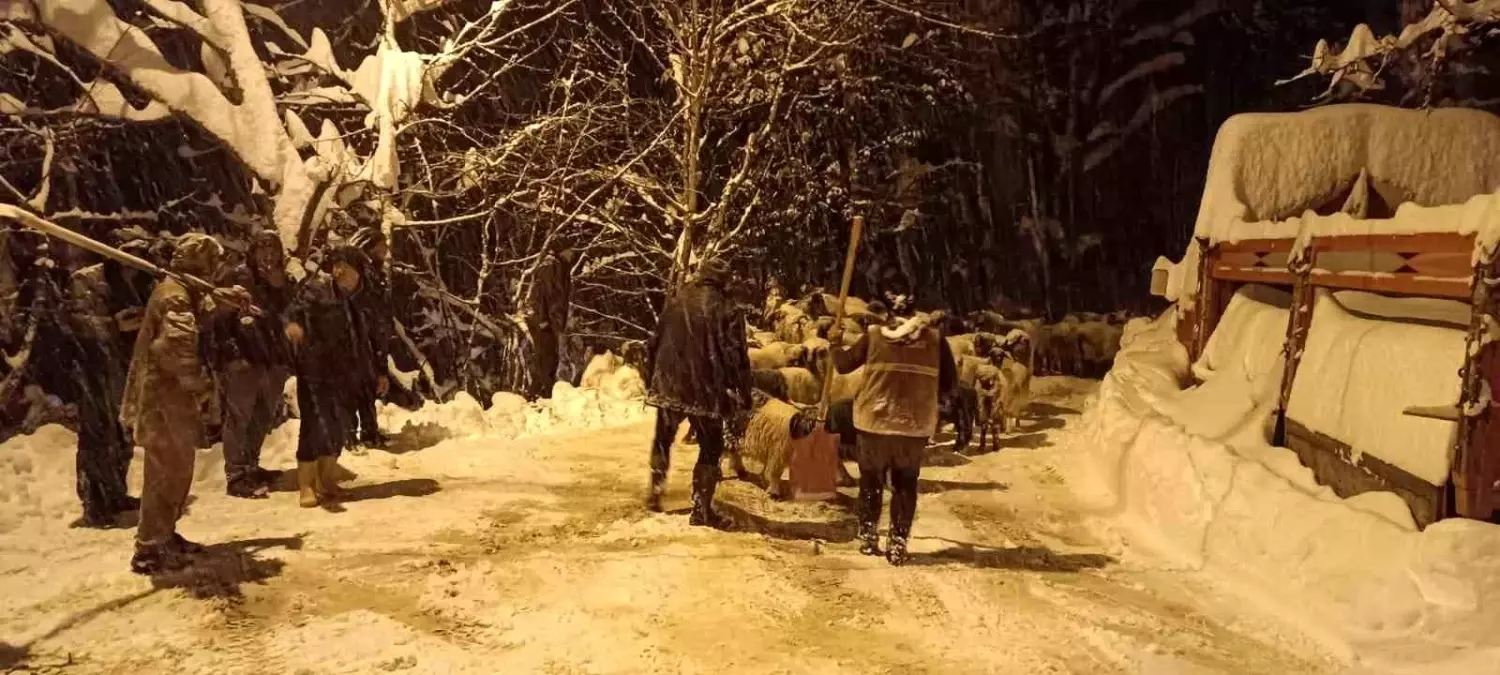 Çığ altında kalan çoban hayatını kaybetti