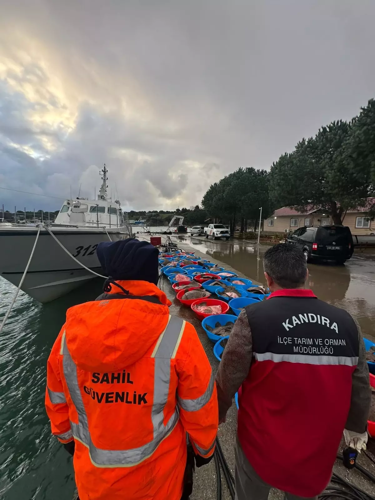 Kandıra\'da 500 Kalkan Balığı Ele Geçirildi